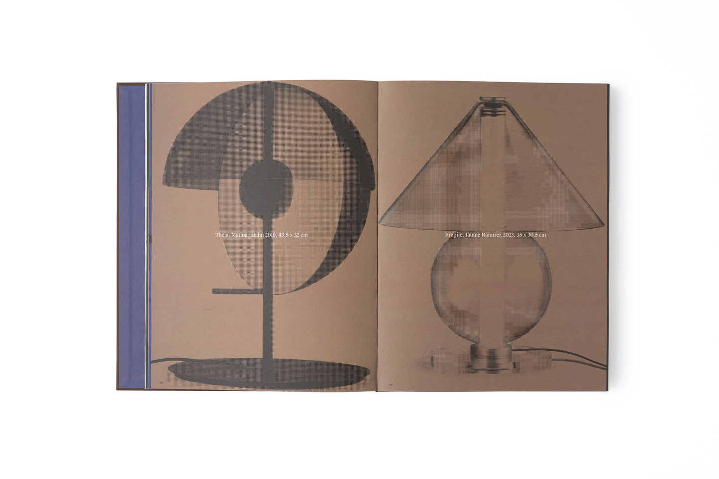 Anatomía de la Luz